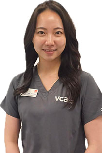 Dr. Katelyn Park, Veterinary Cardiologist, San Diego CA