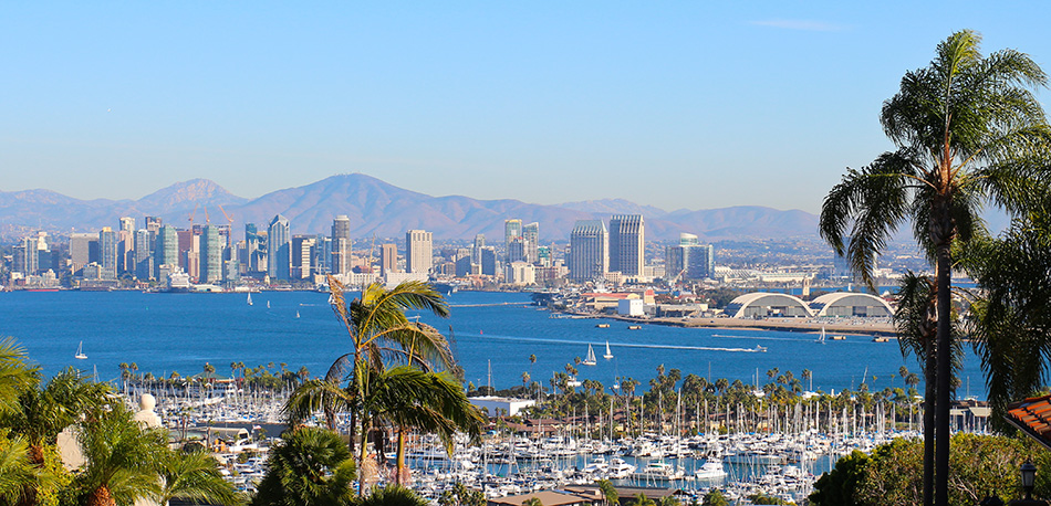 Work as a Veterinary Cardiologist in Sunny San Diego